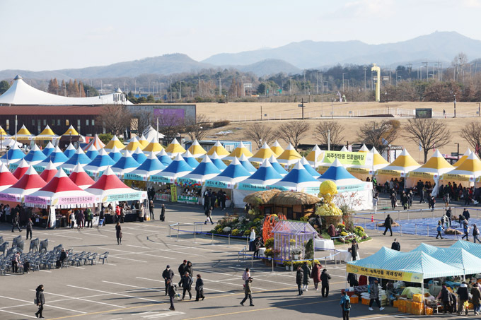 24일 경기도 파주시 임진각에서 열린 제27회 장단콩 축제에서 방문객들이 콩을 구매하고 있다. (사진=연합뉴스)
