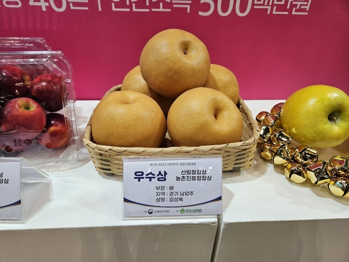 우수상을 받은 김성복 농가의 남양주먹골배(사진=남양주시 제공)