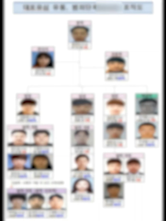  A씨 등 대포 유심을 팔아넘긴 일당이 갖춘 조직체계. (사진=경기남부경찰청 제공)