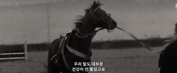 다큐멘터리 ‘슬라이’ 장면. (사진=NETFLIX 캡처)