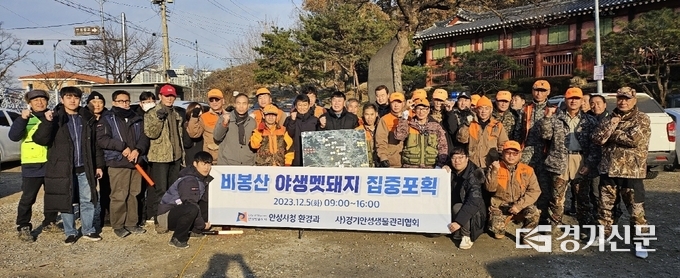 안성시 비봉산 야생멧돼지 포획활동 현장. (사진=안성시 제공)