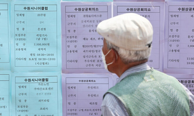 수원의 '노인 일자리 채용한마당'에서 한 노인이 채용 정보 게시판을 살펴보고 있다. (사진=연합뉴스 제공)
