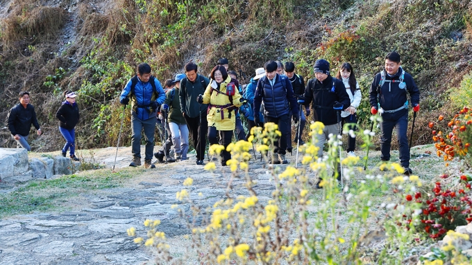 금북정맥 탐방로 조성사업 현장점검. (사진=안성시 제공)