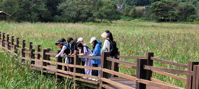 비봉습지 환경교육프로그램에 참여한 학생들이 습지를 둘러보고 있다. (사진=화성시생태관광협동조합 제공)