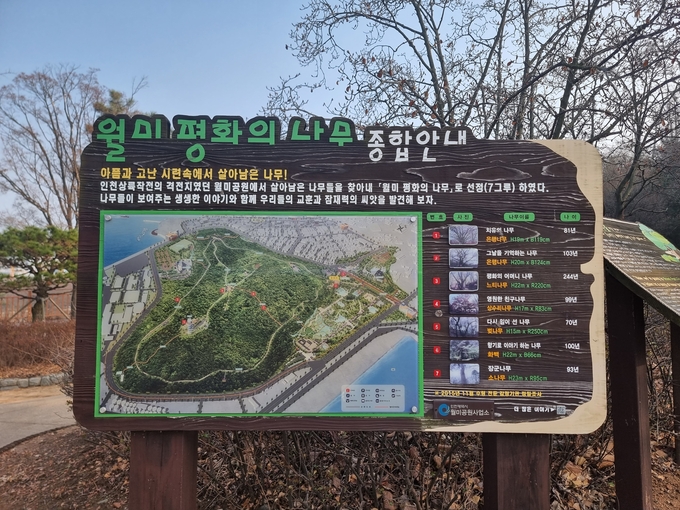 월미 평화의 나무 종합안내판. ( 사진 = 김민지 기자 )