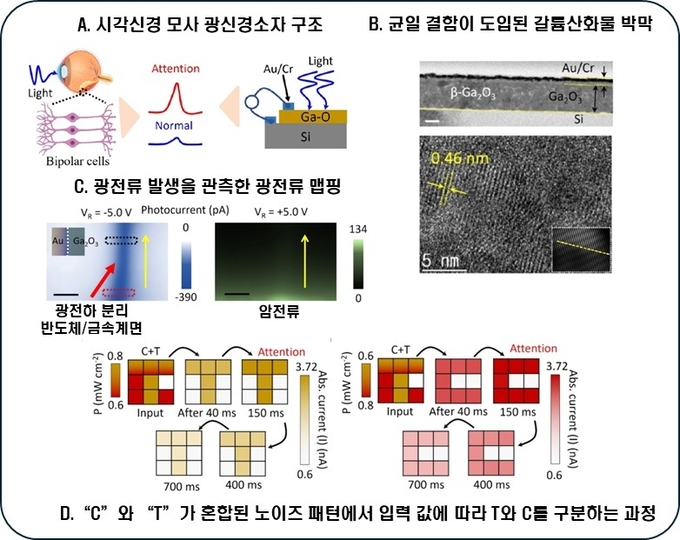 아주대 연구팀의 연구 개념도. (사진=아주대학교 제공) 