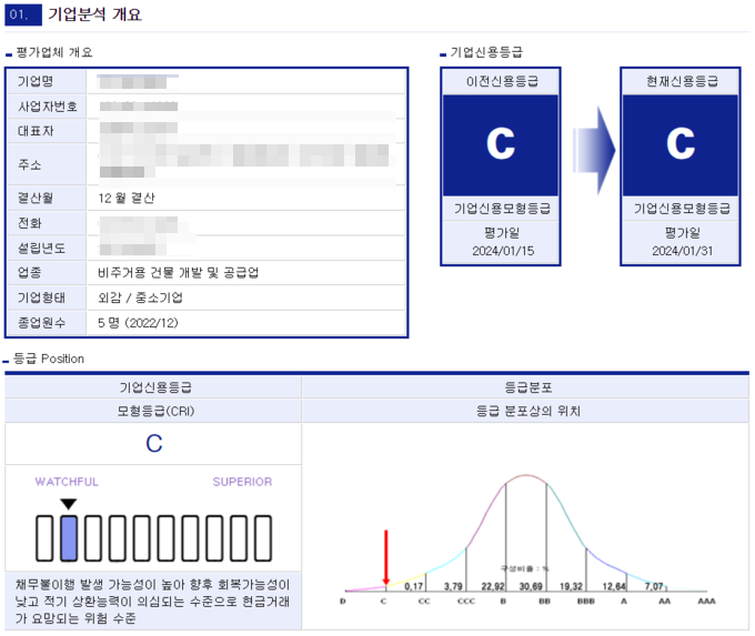  성남시 중원구 도촌동에서 전세사기 의혹 오피스텔을 소유한 법인의 기업요약보고서 내용. (사진=해피캠퍼스 갈무리)