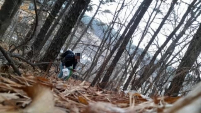  조직원 1명이 야산에 숨긴 마약을 찾고자 땅을 파해치고 수거하는 모습. (사진=수원지검 제공)
