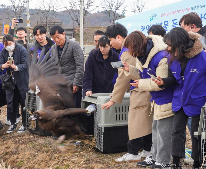 효성 임직원들이 아사 위기에서 구조및치료한 독수리 3마리를 자연으로 다시 돌려보내고 있는 모습. (사진=효성 제공)