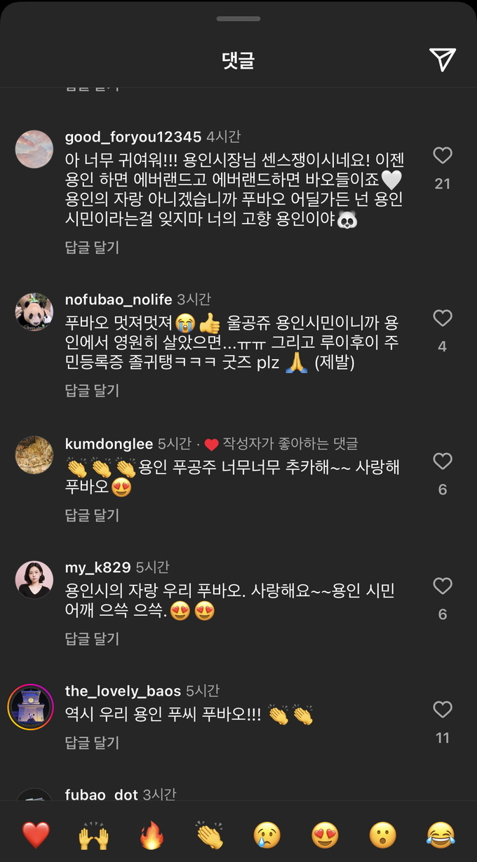 네티즌들이 용인명예시민이 된 푸바오에게 다양한 댓글을 남기고 있다. (사진=용인시 제공)