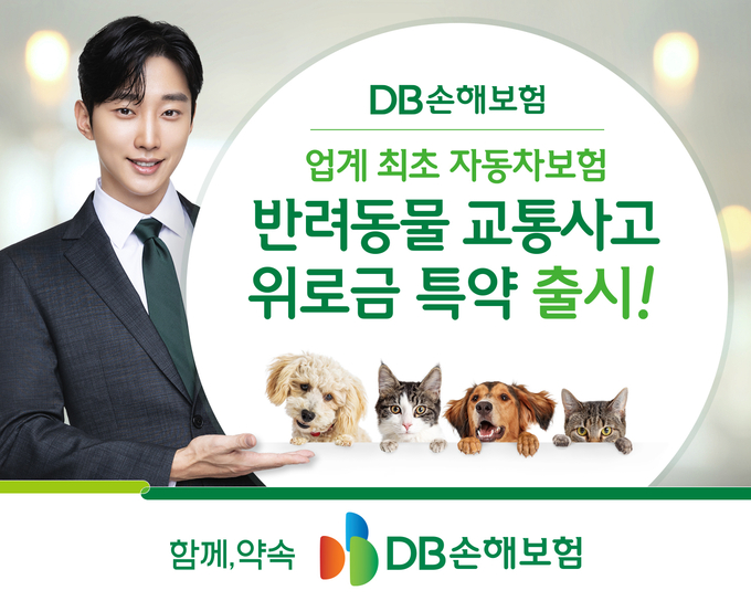 (사진=DB손해보험 제공)