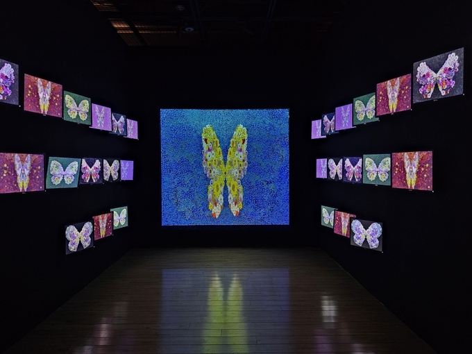 김홍년, 화접(花蝶) 공감과 소통III, 450×830×375(×2식)cm, 설치미디어 2식, 19인치 모니터 30대(×2), 5000안시 빔 프로젝트(×2), 2023~2024. (사진=고륜형 기자)