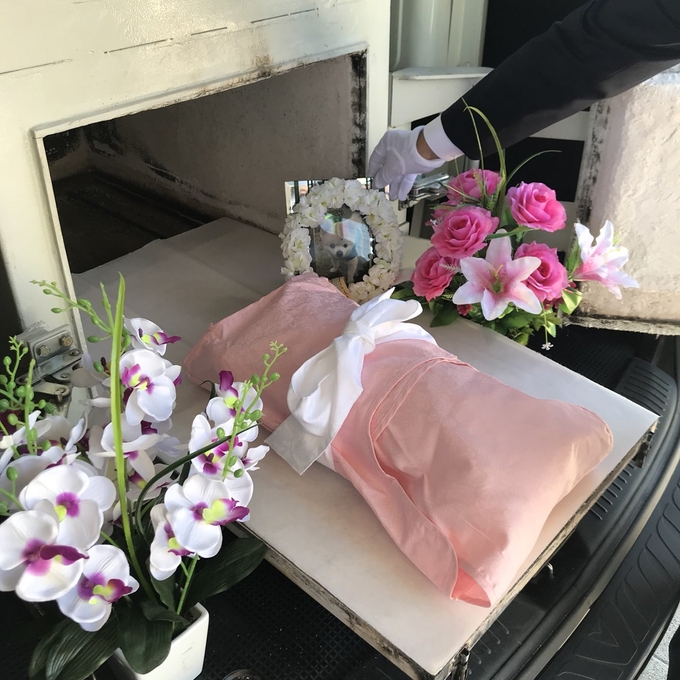 규제샌드박스 실증 특례 건 중 하나인 반려동물 집을 찾아가는 이동식 장례 서비스. (사진=경기도 제공)