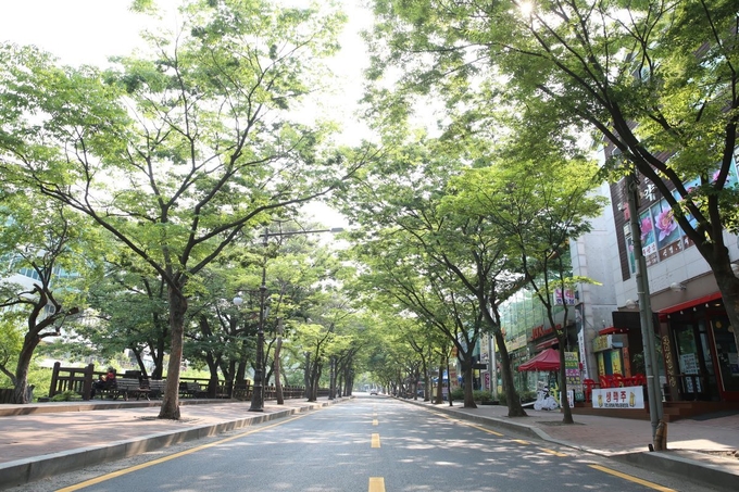 안양예술공원 가로수길 모습. (사진=안양시 제공)
