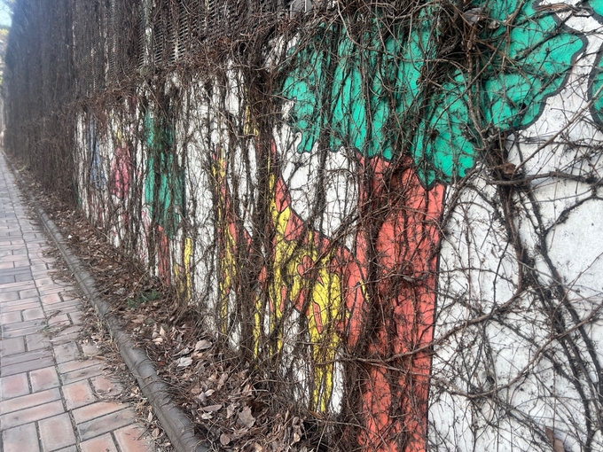11일 오전 아주대학교병원 앞 보행로 방음벽에 그려진 벽화가 담쟁이덩굴에 가려 보이지 않고 있다. (사진=장진 기자)