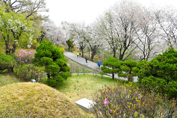 망우리공원의 봄. (사진=망우리역사문화공원 제공)