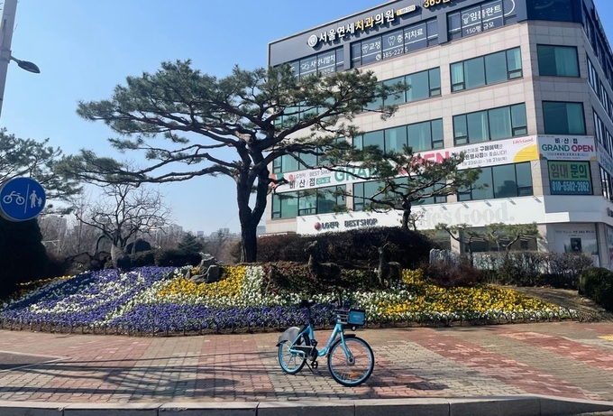 동안구 운동장사거리 봄꽃 식재 모습. (사진=안양시 동안구 제공)
