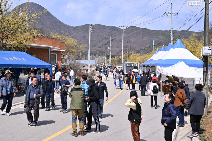 양평군 개군면 산수유꽃마을에서 먹거리 장터가 성황을 이루고 있다. (사진=양평군 제공)<br>

