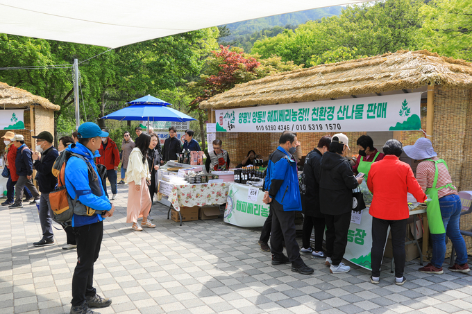 지난해 양평 용문산 관광단지에서 열린 '양평용문산 산나물축제' 모습. (사진=양평군 제공)