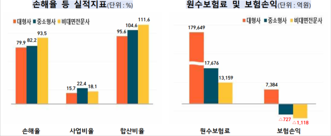 회사 규모별 자동차보험 실적지표. (자료=금융감독원 제공)