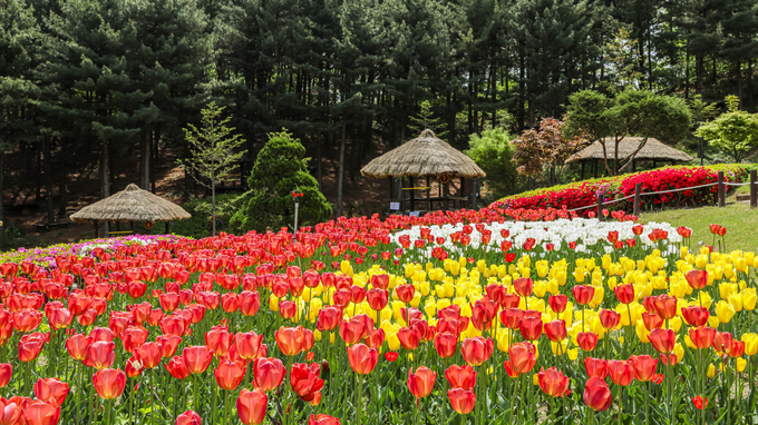 용인 농촌테마파크. (사진=용인시 제공)