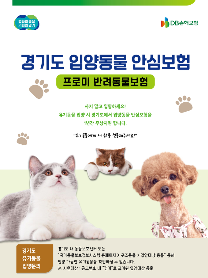 (사진=DB손해보험 제공)