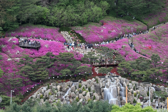 군포철쭉동산 전경. (사진=군포시 제공)