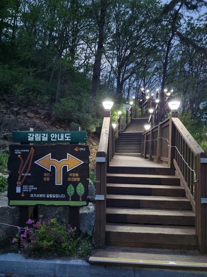 강화군 석모도 휴양림 산책로 야간 경관조명 ( 사진 = 강화군 제공 )