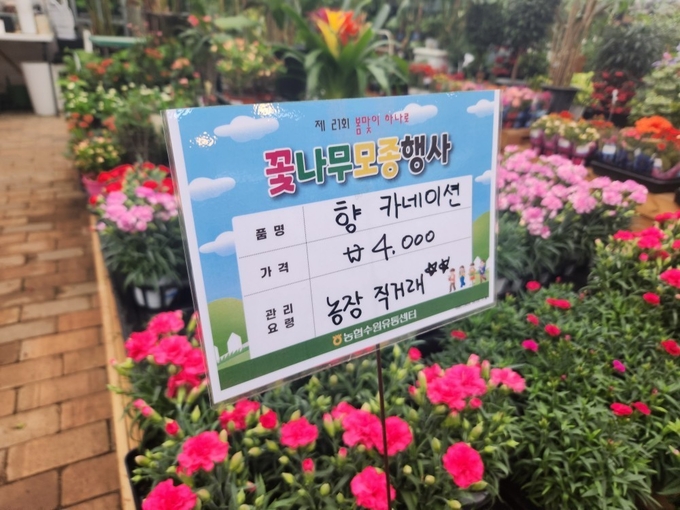 7일 수원의 한 화훼특판장에서 카네이션 10cm포트 기준 가격이 4000원에 책정돼 있다. (사진=이보현 기자)