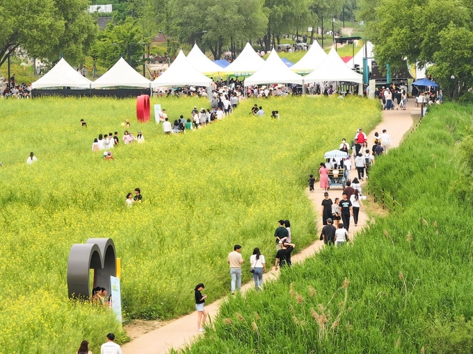 시민들이 25일 강매석교공원에서 개최한 고양특례시의 봄꽃 축제 ‘창릉천 유채꽃 축제’를 즐기고 있다. (사진=고양시 제공)