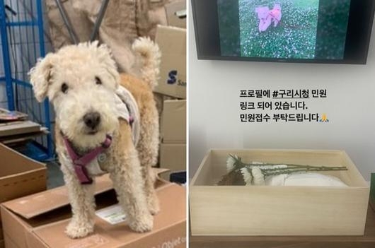사진=반려견 가족 SNS 캡처