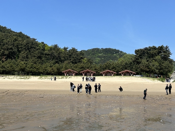 대이작도 작은풀안 해수욕장에서 체험활동을 하고 있는 학생들 모습 ( 사진 = 인천시교육청 제공 )