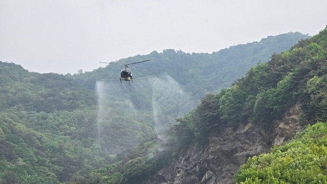 산림병해충 방제 작업 모습. ( 사진 = 인천시 제공 ) 