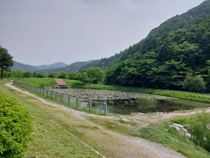 용인특례시는 처인구 호동 334-2 일원 길업습지 일대. (사진=용인시 제공)