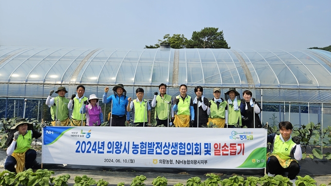 의왕시 농협발전상생협의회 위원들이 의왕시 초평동 의왕농협 조합원 농가를 찾아 농촌 일손 돕기를 펼쳤다. (사진=의왕시 제공)