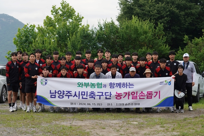 남양주시민축구단이 남양주시 조안면 송천리 일대 딸기 농가를 방문해 농촌 일손돕기 봉사활동을 실시했다.(사진=남양주시 제공)