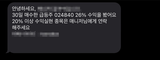 고수익 실현이 가능하다며 불법 리딩방을 홍보하는 문자. (사진=불법 리딩방 홍보 문자 갈무리)