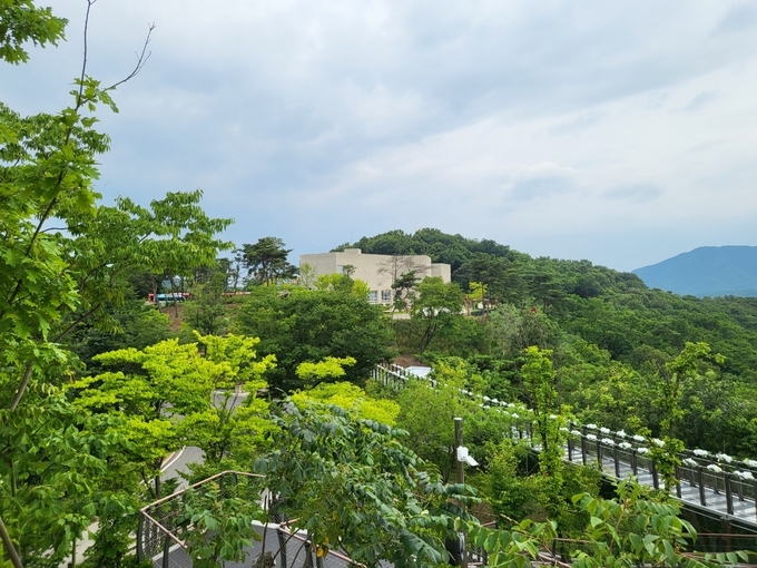 멀리서 바라보이는 김포 애기봉평화생태공원 숲속길. (사진=김포시 제공)