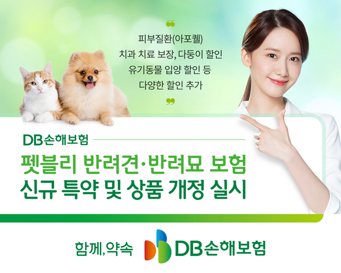 (사진=DB손해보험 제공)
