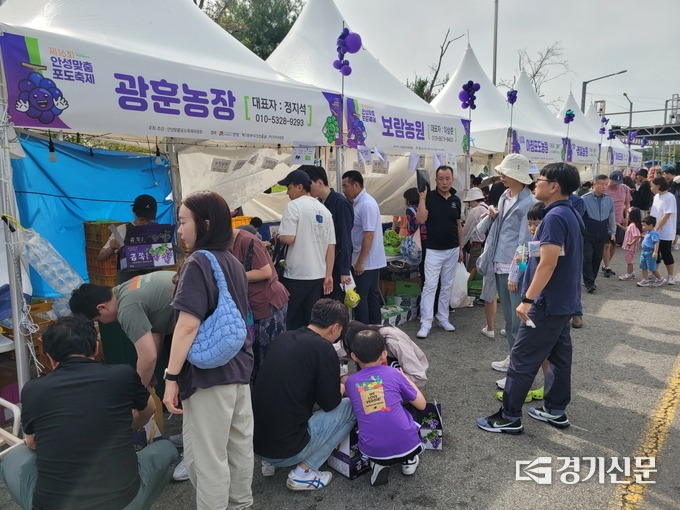안성맞춤 포도축제(2023년도) 모습. (사진=안성시 제공)