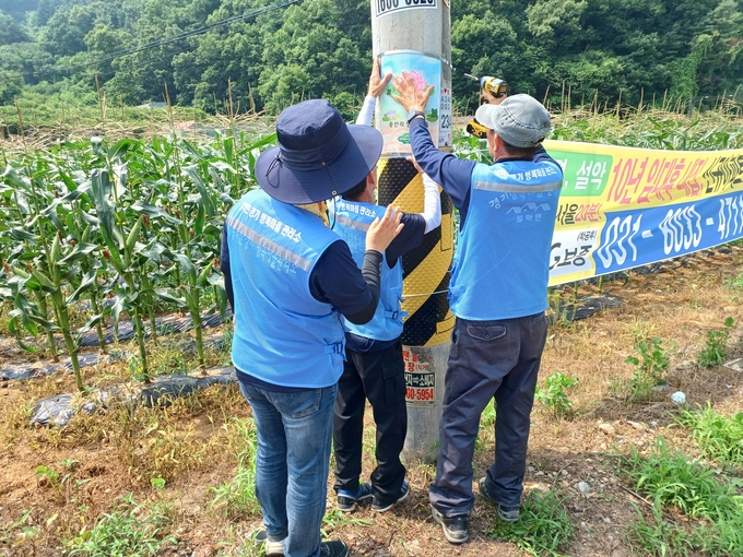 가평군 설악면 경기행복마을관리소가 불법 전단지 부착방지를 위해 불법 전단지가 부착된 전봇대를 대상으로 마을 주민들이 직접 참여해 그린 그림을 전시했다. (사진=가평군 제공)