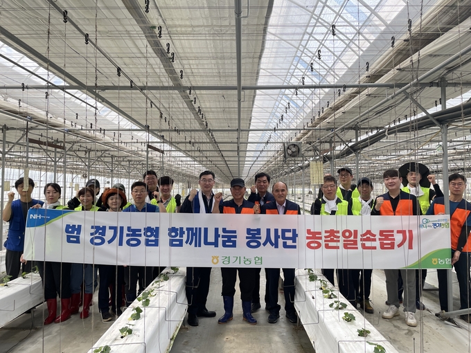 경기농협이 갈곶동 소재 오이 농가를 찾아 농촌봉사활동을 진행했다. (사진=경기농협 제공)
