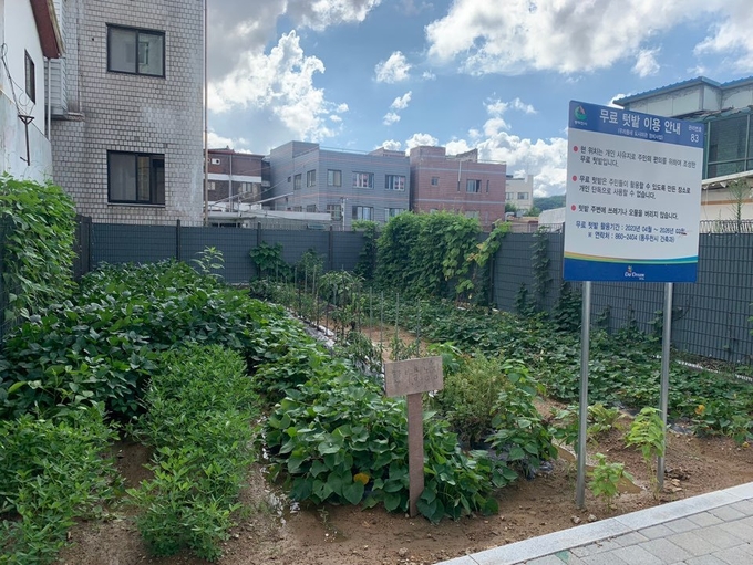 빈집정비 후 텃밭으로 조성된 모습. (사진=경기도 제공)