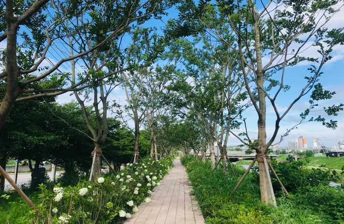 평택 바람길 숲. (사진=경기도 제공)