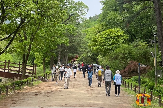 서울대 관악수목원. (사진=안양시 제공)