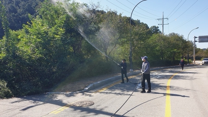 용인특례시는 8월 12~23일까지 산림병해충 확산을 예방하기 위해 산림병해충 집중 방제와 예찰 활동에 나선다. (사진=용인시 제공)