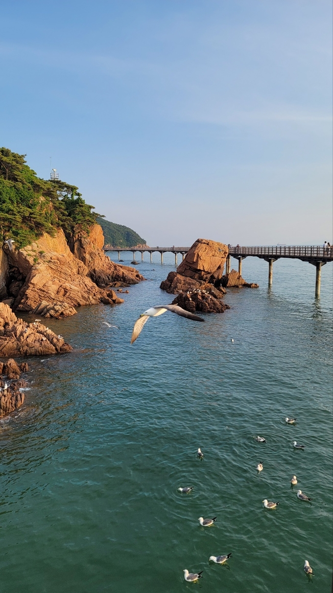 무의도 하나개해수욕장 만조 시 데크길 전경 ( 사진 = 이연수 기자 )