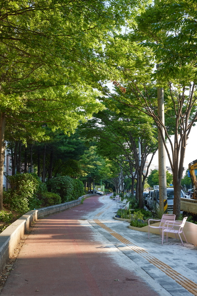 수원시 관내 가로숲길 모습. (사진=수원시 제공)