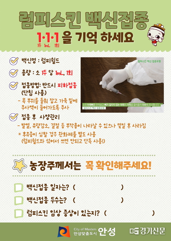 안성시 럼피스킨 백신 자가 접종 안내 포스터(사진=안성시 제공)