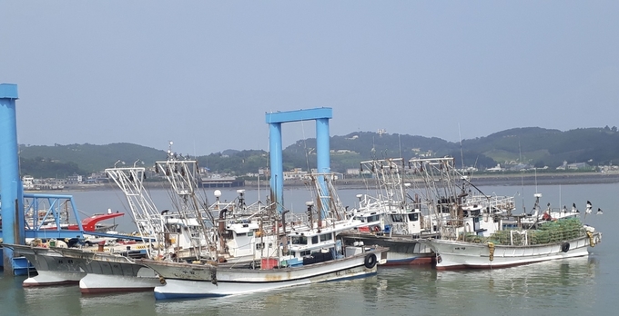 인천 옹진군 연평도 당섬 선착장에 어선들이 정박해 있다. ( 사진 = 인천시 제공 ) 
